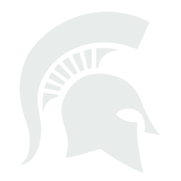 Michigan State University helmet